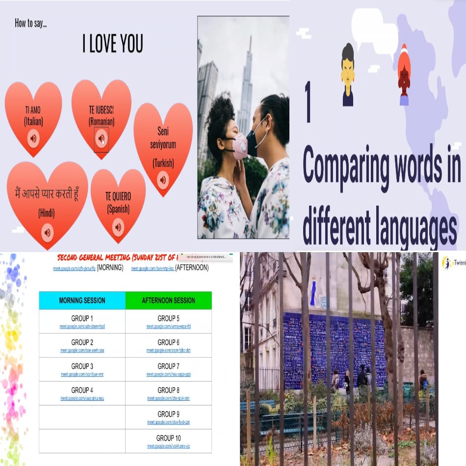 Twinning foto2